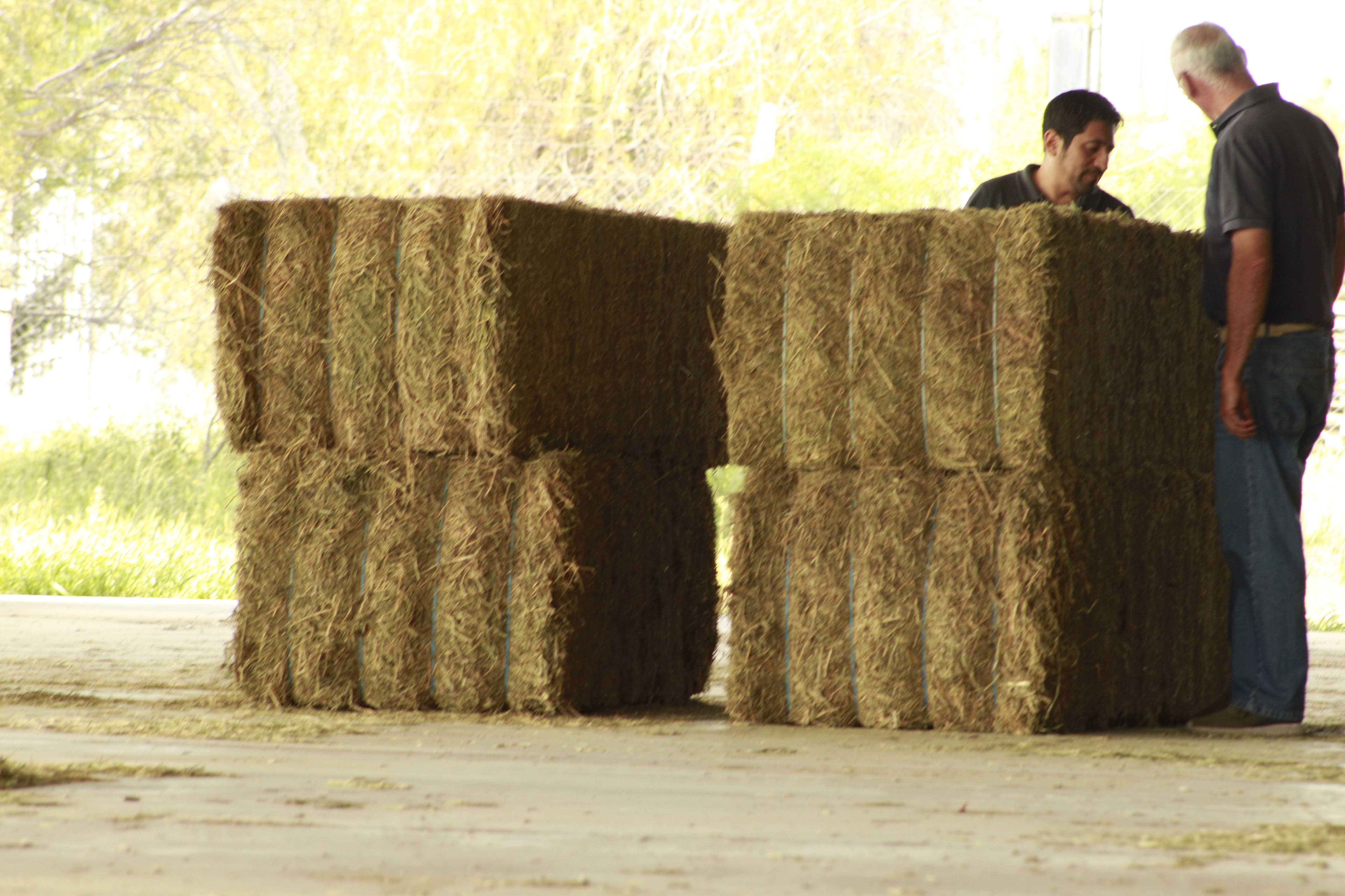 Double Compacted Mega-Bales